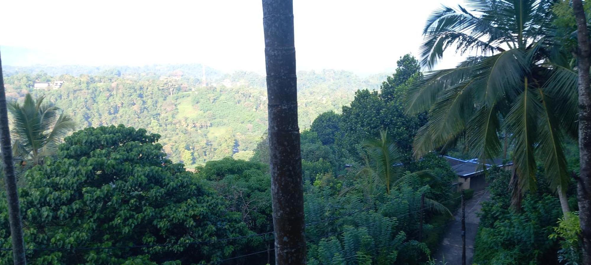 Mountain Bliss Villa Peradeniya Esterno foto